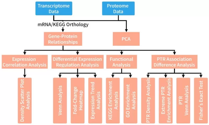 figure 1. Combined Analysis Approach for Proteomics and Transcriptomics